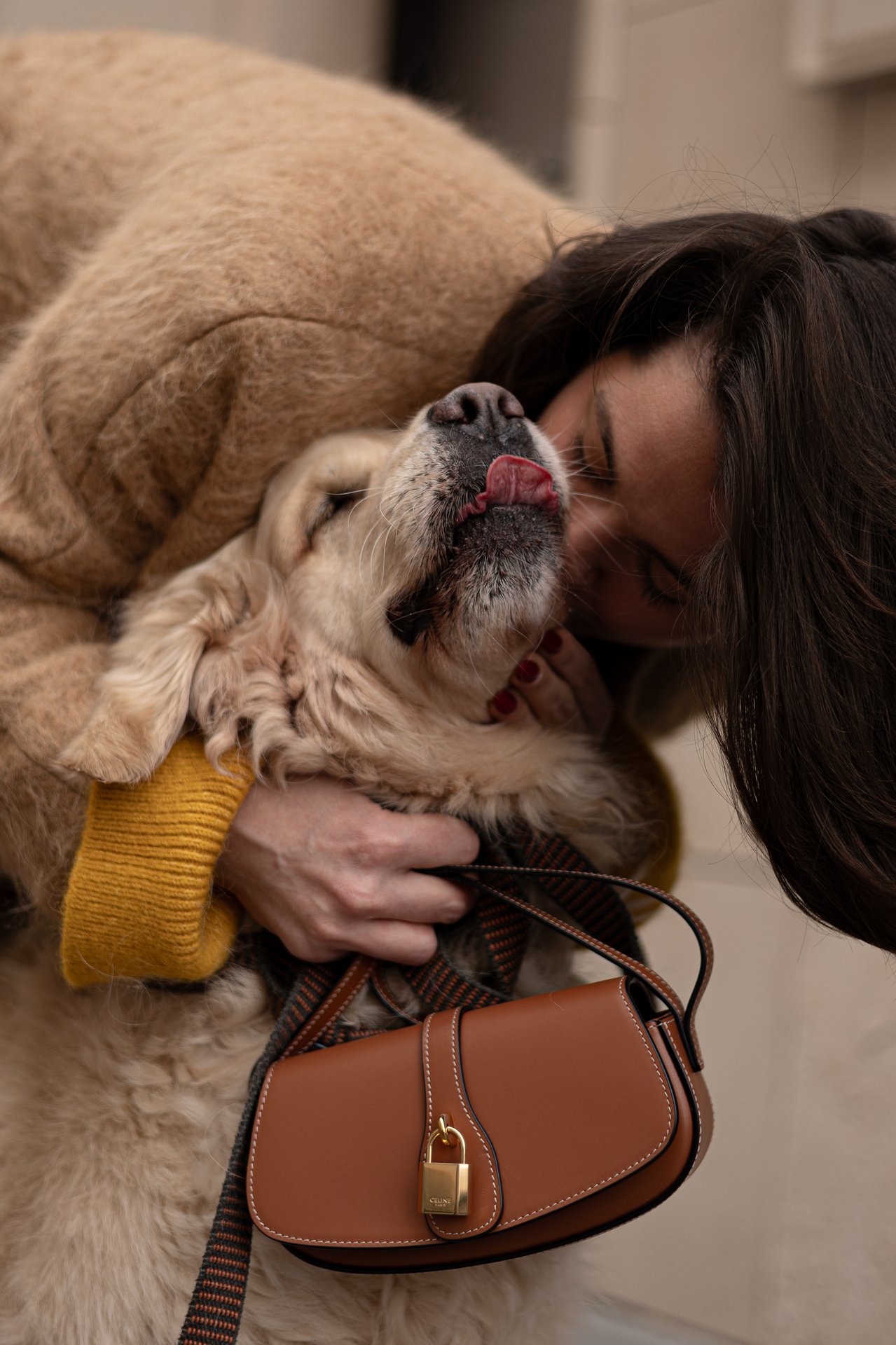 Фотосессия с собакой